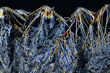 Photo through a microscope of crystals growing from a solution of succinic acid in alcohol....