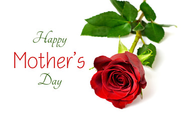 Mothers Day card with red rose isolated on white background