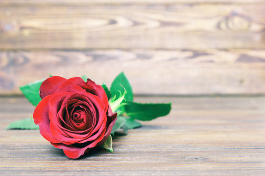 Mothers day rose on wooden background with copy space
