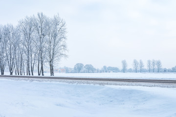 landscape of snowy trees along the highway
