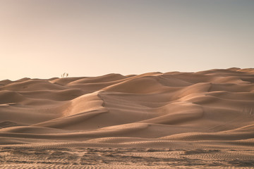 Fototapeta na wymiar Sahara Desert of Tunisia, Grand Erg Oriental. Most beautiful dunes