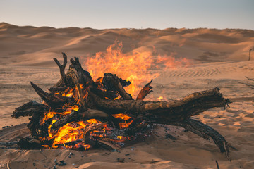 Sahara Desert of Tunisia, Grand Erg Oriental. Most beautiful dunes