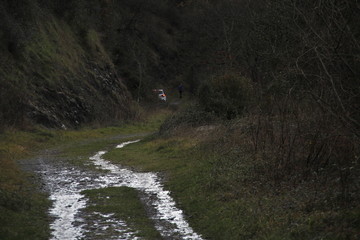 Arroyo