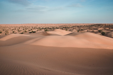 Sahara Desert of Tunisia, Grand Erg Oriental. Most beautiful dunes