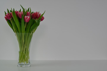 Tulpen rot weiß Vase