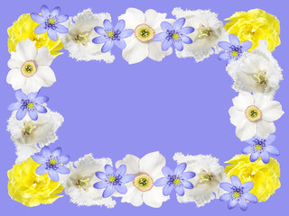Beautiful floral frame of tulips, daffodils and liverwort 