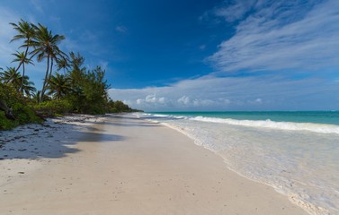Zanzibar, landscape sea, white sand