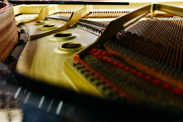 Detail of the interior of a piano with the soundboard, strings and pins.