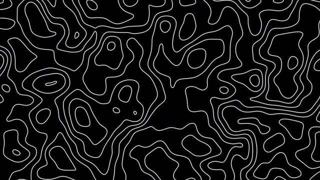 Seamless loop fractal lines background. Topographic map like abstract backdrop