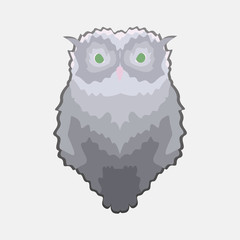 Sticker wild gray owls. A wild gray owl is suitable as a logo and for decorating a website or a postcard.