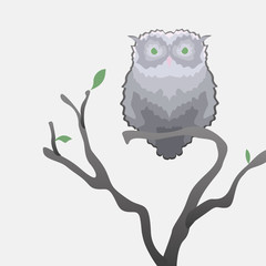 Sticker wild gray owl on flowering branch. A wild gray owl is suitable as a logo and for decorating a website or a postcard.