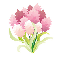 Bouquet Flowers turmeric..Blooming flowers of turmeric illustration.