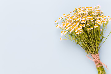 Chamomile aromatherapy theme , handmade cosmetic. space for textessential  and medical flowers herbs