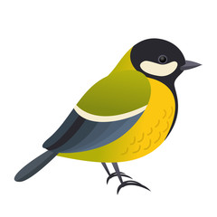 Obraz premium Great tit bird, vector isolated illustration