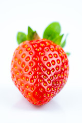 ripe red  strawberry