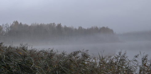 Lake and fog