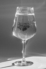 Glass of water with tree shaped drop inside
