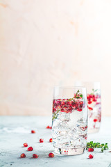 Festive drinks, gin and tonic pomegranate cocktail