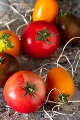 Mix from red, yellow and green tomatoes. Italian Cuisine. Dark background