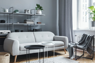 Modern and bright nordic living room with design sofa with pillow, coffee table, plants, stylish accessories and bookstand on the grey wall. Brown wooden parquet. Concept of minimalistic interior.