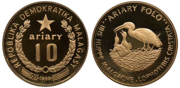 Madagascar Madagascan golden coin 10 ten ariary 1988, value within wreath, star above, Ibis feeding nestlings in nest, 