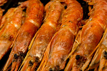 shrimp red raw preparation we cook delicacies delicious langoustines set snacks background culinary design menu