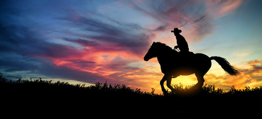 A silhouette of a cowboy and horse at sunset © ginettigino