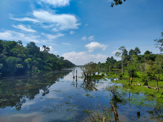 lake in deep forest on the way to the Gate of Angkor Thom