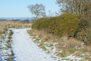 Snow covered path on Winter Walk St Andrews to Craigton Park