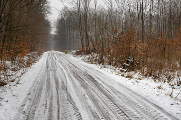 Forest road in the winter. A gravel road leading through the forest.