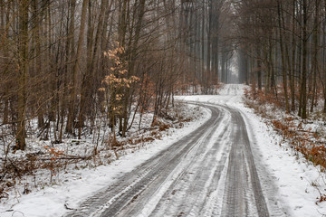 Obraz premium Forest road in the winter. A gravel road leading through the forest.