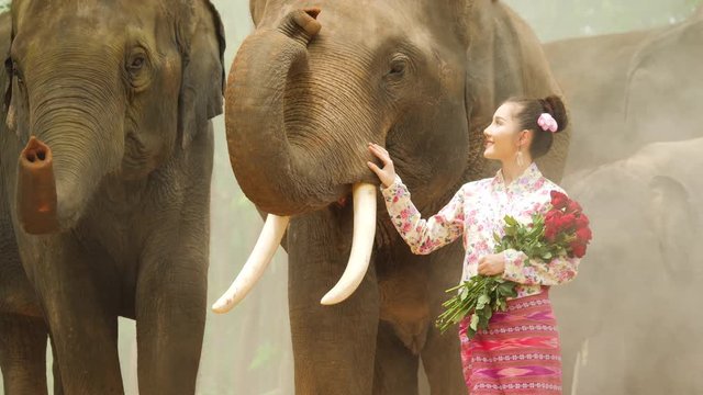 Tenderness of young attractive asian woman in traditional costume with elephant. Concept: love of animals, softness, and nature.