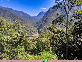 mountain landscape with trees
