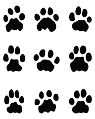 Black footprints of lions on a white background