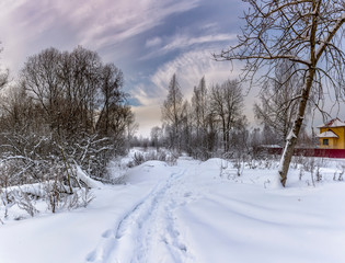 Fototapeta na wymiar Frosty winter day in the suburbs of St. Petersburg.