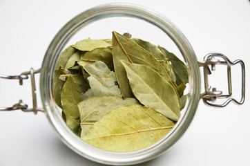 Bay leaf in a glass jar