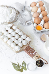 Fototapeta na wymiar Ingredients for modeling homemade dumplings. Eggs, milk, flour, salt, pepper, meat. Dumplings on the cutting Board. White background, side view