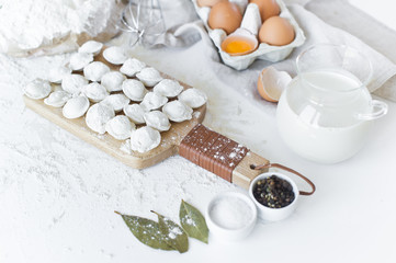 Obraz na płótnie Canvas Ingredients for modeling homemade dumplings. Eggs, milk, flour, salt, pepper, meat. Dumplings on the cutting Board. White background, side view