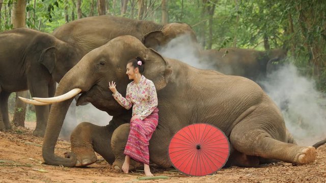 Tenderness of young attractive asian woman in traditional costume with elephant. Concept: love of animals, softness, and nature.