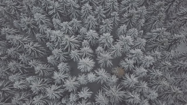 seamless background with pattern