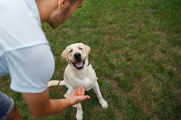 Happy young man is playing with dog Labrador