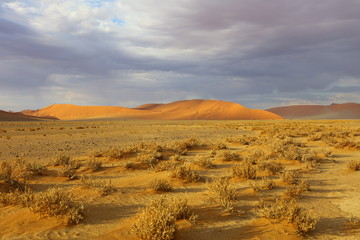 Fototapeta na wymiar Namib-Wüste am Soussusvlei