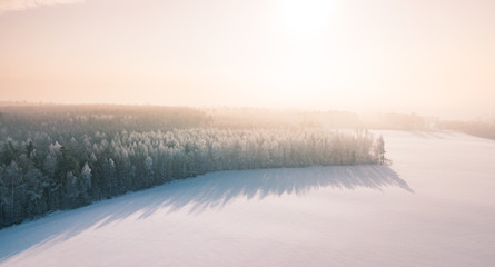Beautiful winter scenery with sunrise over the tree tops of pine forest. Sunlight shines through the mist creating stunning aerial panorama. Moody winter day's landscape with warm sunlight. 
