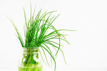 Spring onion on white background