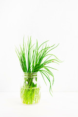 Green spring onion ingredient in glass jar with water