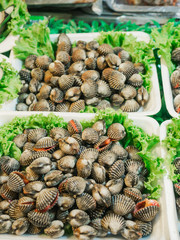 Mussels at the market in Thailand