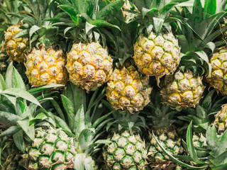 Close-up of of Pineapples at thai market.