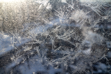 frost on glass in winter