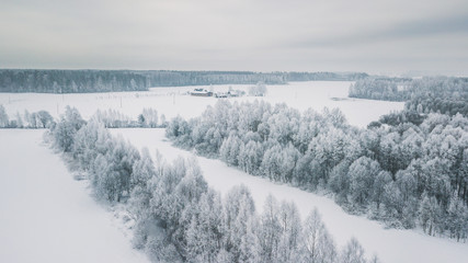 Beautiful winter scenery with sunrise over the tree tops of pine forest. Sunlight shines through...