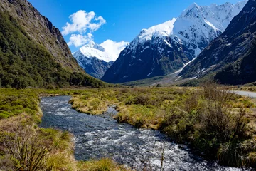 Gordijnen View of mountains from Monkey Creek, Fjordland, South Island, New Zealand © plumchutney